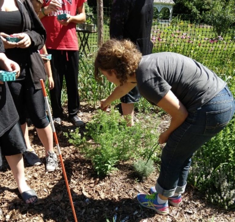 GATHER Fruit and Vegetable Prescription Program York County Community